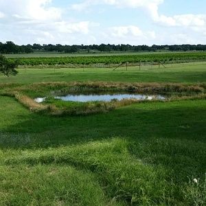 Meet your Posher, Ericka